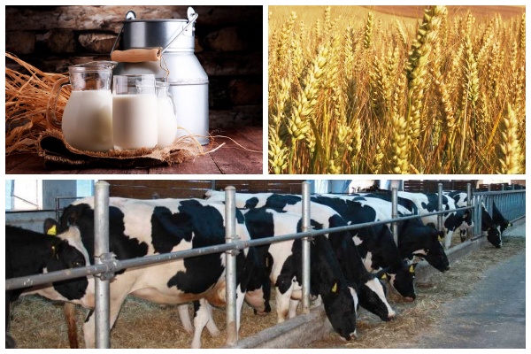 Полимир-Агро